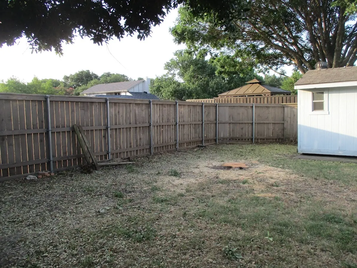 Cleared yard after professional tree removal in Wentworth